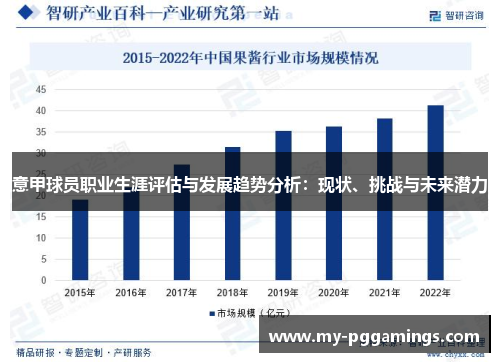 意甲球员职业生涯评估与发展趋势分析：现状、挑战与未来潜力