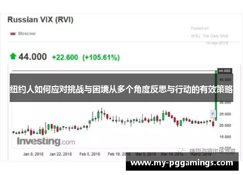 纽约人如何应对挑战与困境从多个角度反思与行动的有效策略