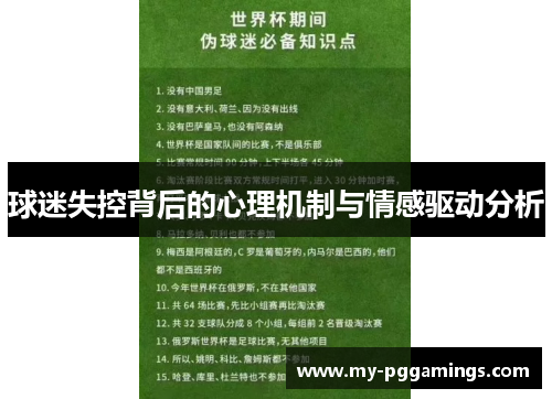 球迷失控背后的心理机制与情感驱动分析