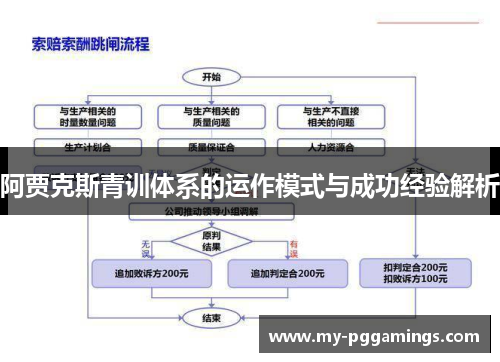 阿贾克斯青训体系的运作模式与成功经验解析