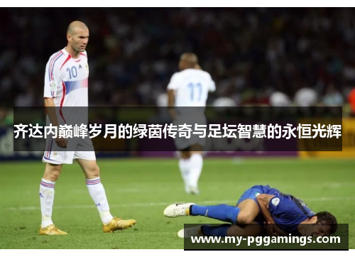 齐达内巅峰岁月的绿茵传奇与足坛智慧的永恒光辉