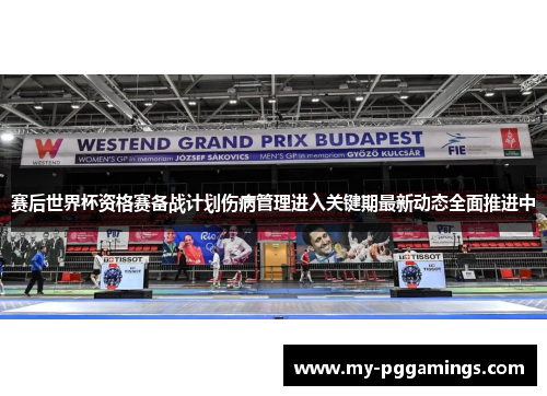 赛后世界杯资格赛备战计划伤病管理进入关键期最新动态全面推进中